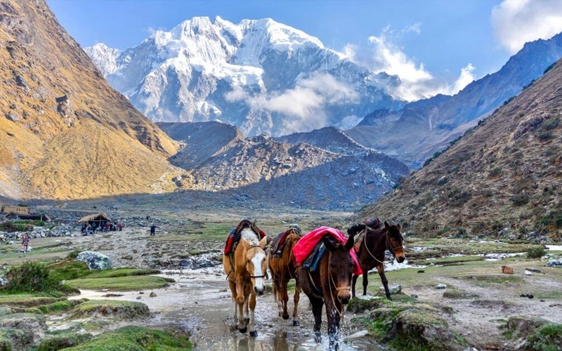 The Best-Kept Secrets of the Salkantay Trek 4 Days