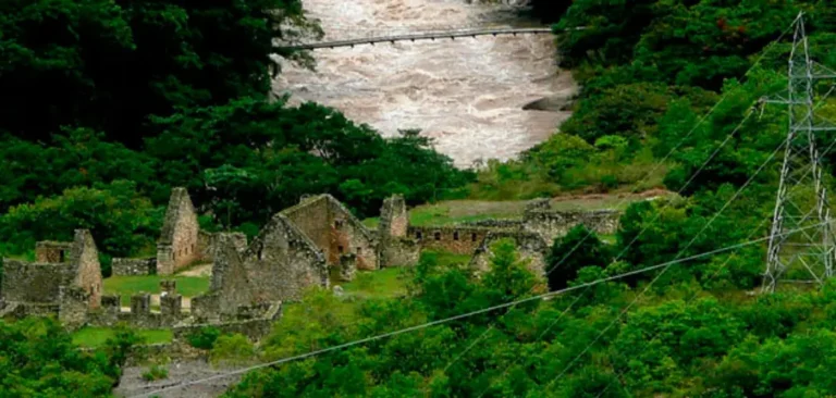 Biodiversity of the Inca Trail