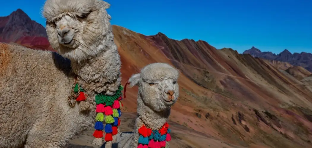 Discover the Best Tours to Cusco with Guiding Cusco Expeditions