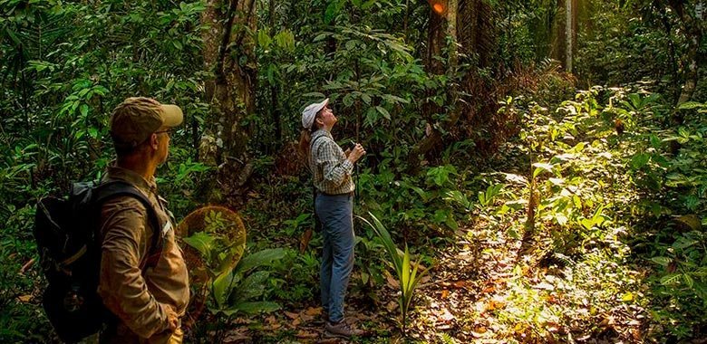 Top 7 Peru Wildlife Tours