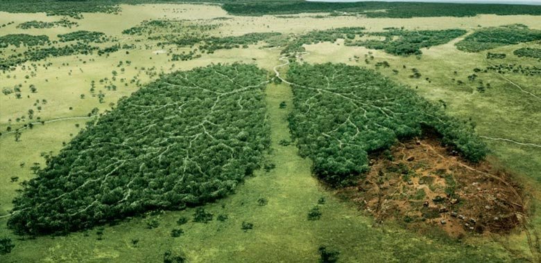 Explore Eco-Friendly Peru Travel