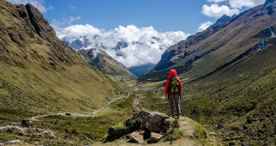 Discover the Biodiversity of the Salkantay Trek: Flora and Fauna