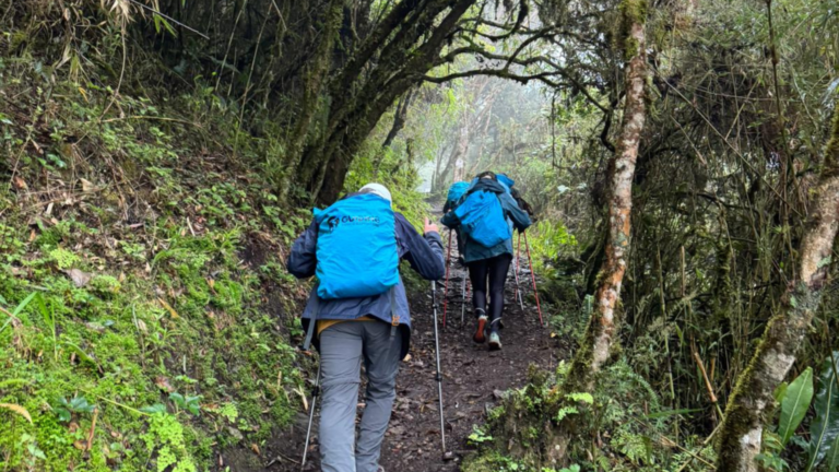 Walking to Machupicchu Guiding cusco