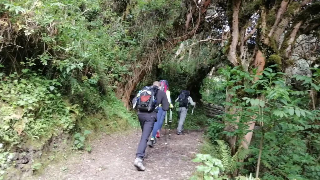 Day 3 image