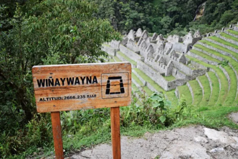 wiñaywayna