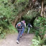 inca trail permits