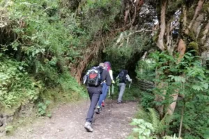 inca trail permits
