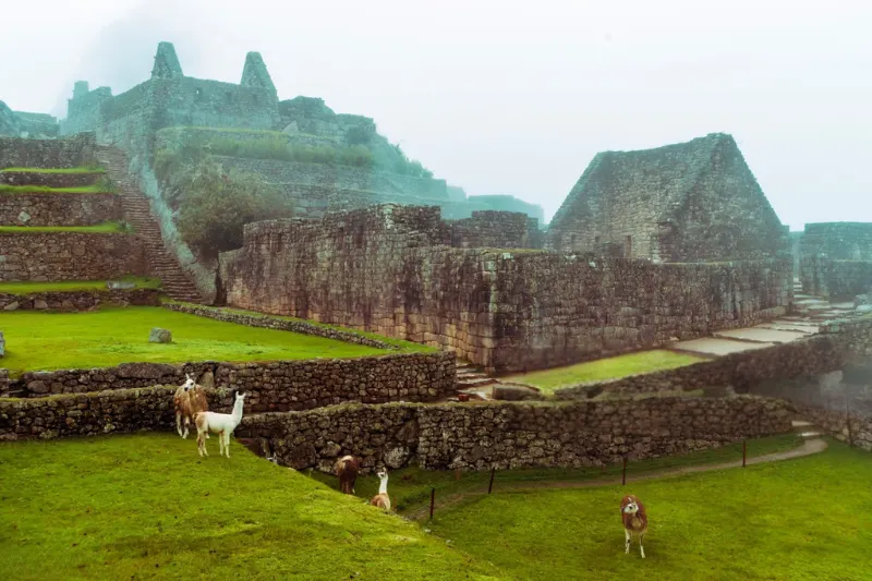 machu picchu rainy season