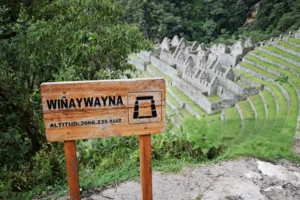 wiñay wayna