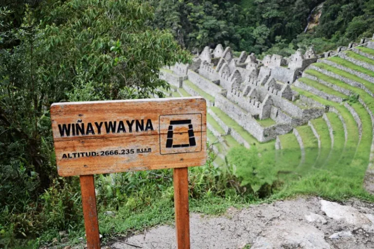 wiñay wayna