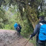salkantay mountain peru