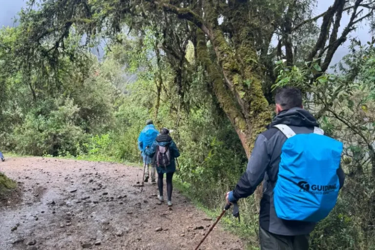 salkantay mountain peru