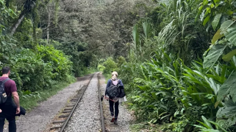 Day 3: Chaullay – Wiñaypoco – La Playa – Hydroelectric – Aguas Calientes
