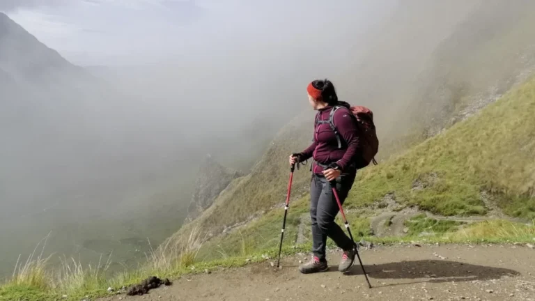 Day 4: Wayllabamba – Warmiwañusca Pass – Pacaymayo – Chaquicocha