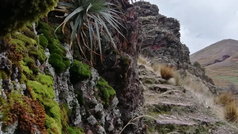Day 1: Cusco – Patabamba – Huchuy Qosqo – Lamay – Cusco