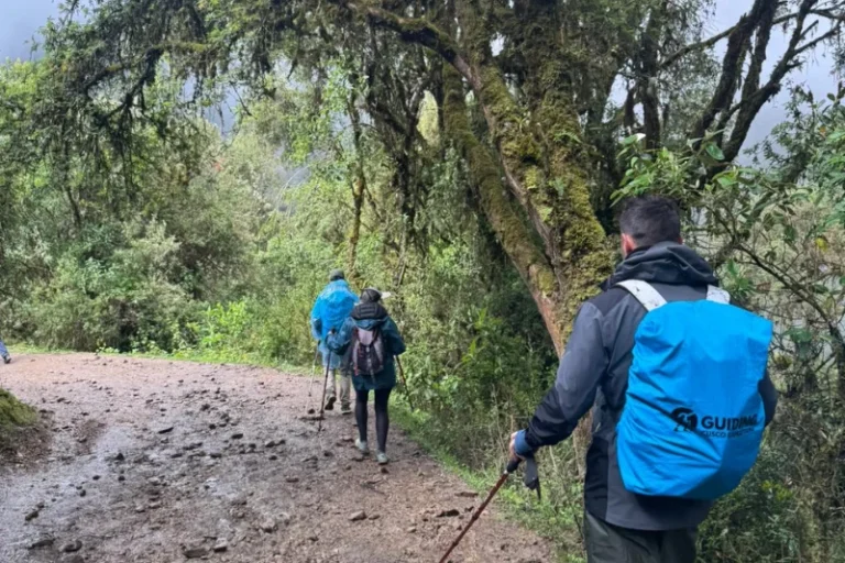 Day 2: Soraypampa – Salkantay Pass – Wayracmachay – Chaullay.