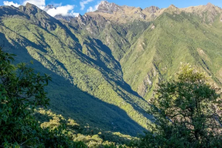 Day 1: Cusco – Cachora – Capuliyoc – Chiquisca