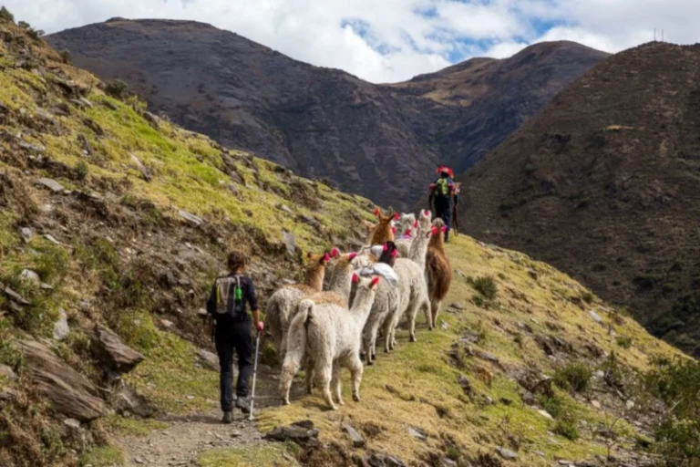 Day 2: Chiquisca – Rosalina Beach – Marampata – Choquequirao