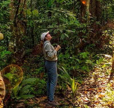 Top 7 Peru Wildlife Tours