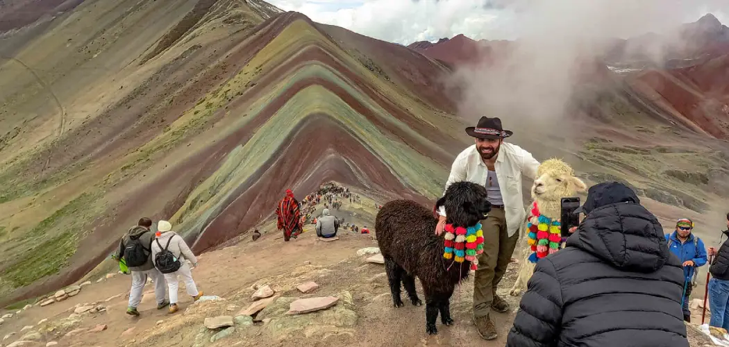 Fauna and Flora in Vinicunca