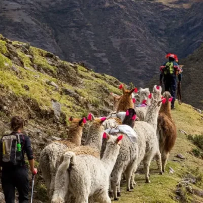 Discover Why You Should Choose the Lares Trek: Benefits and Unique Experiences