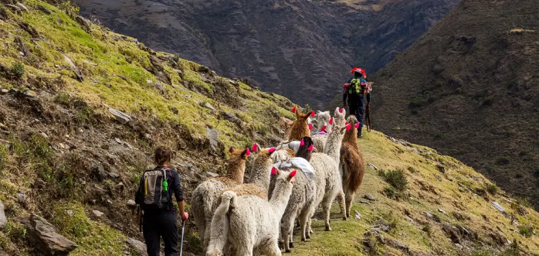 the Lares Trek