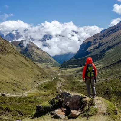 Discover the Biodiversity of the Salkantay Trek: Flora and Fauna in 2025